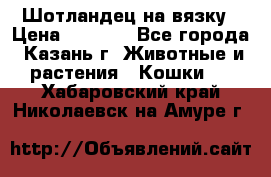 Шотландец на вязку › Цена ­ 1 000 - Все города, Казань г. Животные и растения » Кошки   . Хабаровский край,Николаевск-на-Амуре г.